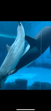 名古屋港水族館に投稿された画像（2025/9/5）