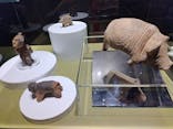 特別展「古代ＤＮＡ－日本人のきた道－」に投稿された画像（2025/9/5）