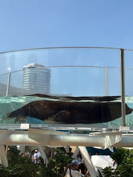 サンシャイン水族館に投稿された画像（2025/9/5）