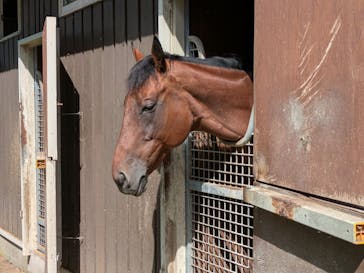 ノーザンホースパークに投稿された画像（2025/9/5）