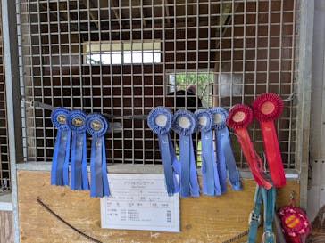 ノーザンホースパークに投稿された画像（2025/9/5）