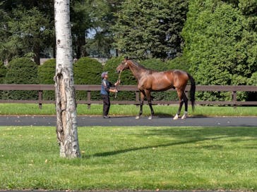 ノーザンホースパークに投稿された画像（2025/9/5）