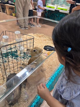 いきもの探検隊上尾に投稿された画像（2025/9/5）