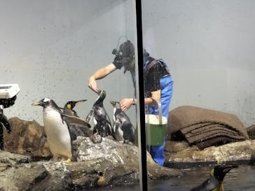 マクセル アクアパーク品川に投稿された画像（2025/9/5）