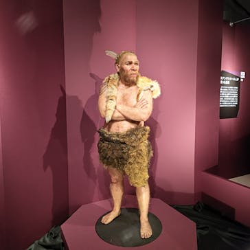 特別展「氷河期展 〜人類が見た4万年前の世界〜」（国立科学博物館）に投稿された画像（2025/9/5）