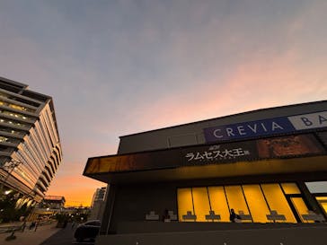 ACN ラムセス大王展 ファラオたちの黄金に投稿された画像（2025/9/5）