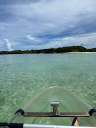 SHISHI石垣島（シシイシガキジマ）に投稿された画像（2025/9/5）