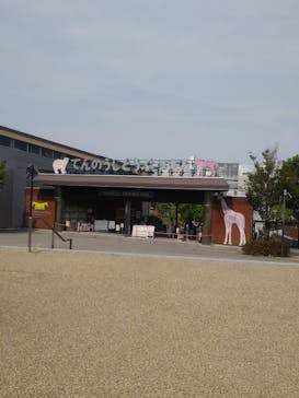 天王寺動物園に投稿された画像（2025/9/5）