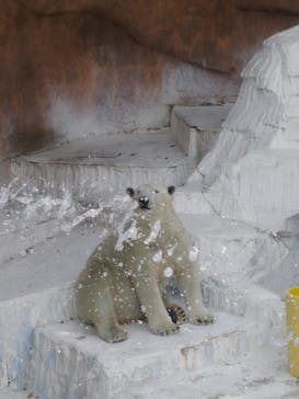 天王寺動物園に投稿された画像（2025/9/5）