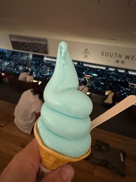 横浜ランドマークタワー 69階展望フロア スカイガーデンに投稿された画像（2025/9/5）