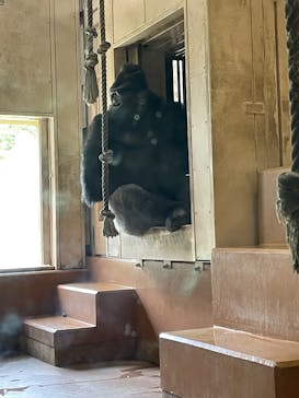 体感型動物園iZooに投稿された画像（2025/9/5）