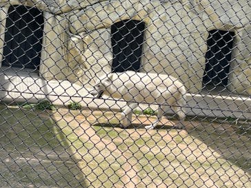 体感型動物園iZooに投稿された画像（2025/9/5）
