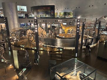 福井県立恐竜博物館に投稿された画像（2025/9/5）