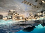 名古屋港水族館に投稿された画像（2025/9/6）