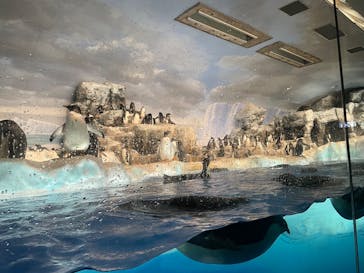 名古屋港水族館に投稿された画像（2025/9/5）