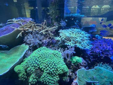 名古屋港水族館に投稿された画像（2025/9/5）