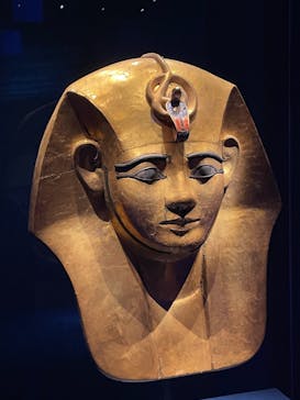 ACN ラムセス大王展 ファラオたちの黄金に投稿された画像（2025/9/5）