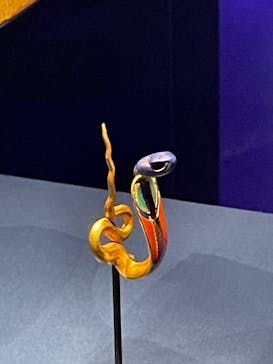 ACN ラムセス大王展 ファラオたちの黄金に投稿された画像（2025/9/5）