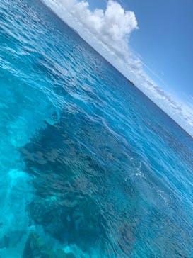 M.a.r.i.n.e Factoryに投稿された画像（2025/9/6）