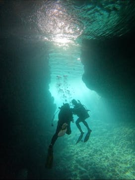 武藤潜水に投稿された画像（2025/9/6）