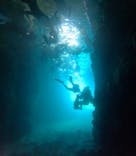 武藤潜水に投稿された画像（2025/9/6）