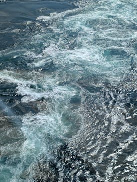 徳島県立 渦の道に投稿された画像（2025/9/6）