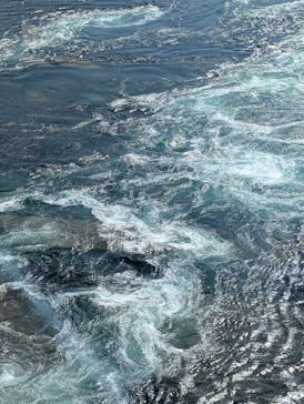 徳島県立 渦の道に投稿された画像（2025/9/6）