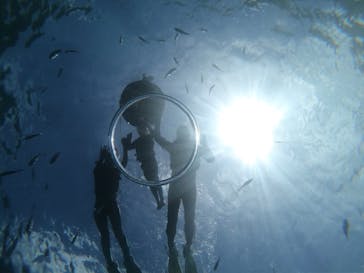 武藤潜水に投稿された画像（2025/9/6）