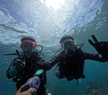 武藤潜水に投稿された画像（2025/9/6）