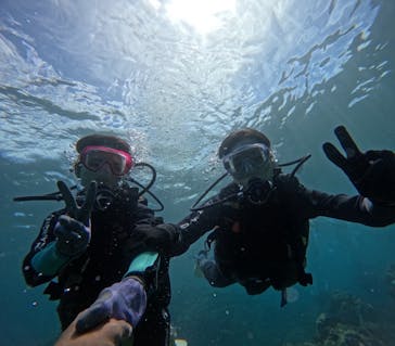 武藤潜水に投稿された画像（2025/9/6）