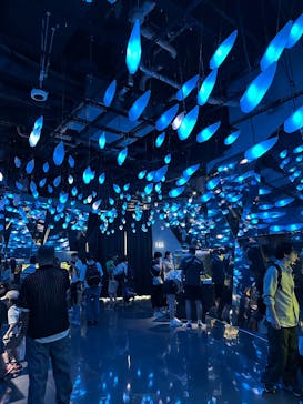 AQUARIUM × ART　atoa×神戸ポートタワーに投稿された画像（2025/9/6）