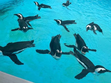 掛川花鳥園に投稿された画像（2025/9/6）