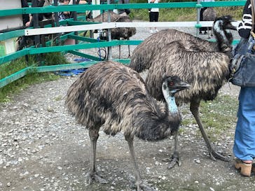 掛川花鳥園に投稿された画像（2025/9/6）