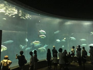 葛西臨海水族園に投稿された画像（2025/9/6）
