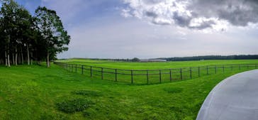 ノーザンホースパークに投稿された画像（2025/9/6）