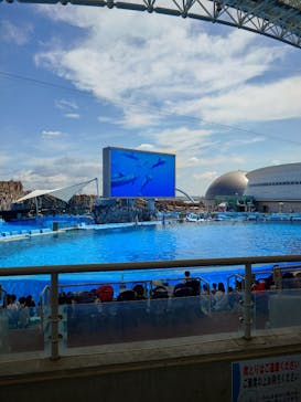 名古屋港水族館に投稿された画像（2025/9/6）