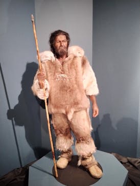 特別展「氷河期展 〜人類が見た4万年前の世界〜」（国立科学博物館）に投稿された画像（2025/9/6）