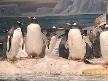 名古屋港水族館に投稿された画像（2025/9/6）