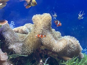 名古屋港水族館に投稿された画像（2025/9/6）