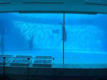 マリンワールド海の中道に投稿された画像（2025/9/6）