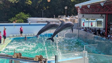 しながわ水族館に投稿された画像（2025/9/6）