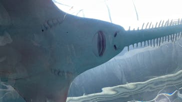 マクセル アクアパーク品川に投稿された画像（2025/9/6）