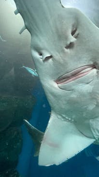 マクセル アクアパーク品川に投稿された画像（2025/9/6）