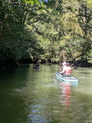 Verde Odai（ベルデオオダイ）に投稿された画像（2025/9/6）