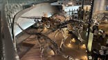 福井県立恐竜博物館に投稿された画像（2025/9/6）