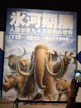 特別展「氷河期展 〜人類が見た4万年前の世界〜」（国立科学博物館）に投稿された画像（2025/9/6）