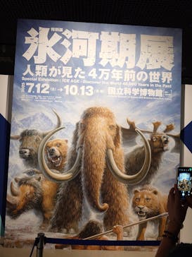 特別展「氷河期展 〜人類が見た4万年前の世界〜」（国立科学博物館）に投稿された画像（2025/9/6）