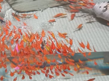 あべのハルカス美術館に投稿された画像（2025/9/6）