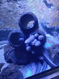 仙台うみの杜水族館に投稿された画像（2025/9/6）