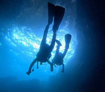 青の洞窟専門店　沖縄ダイビングショップ和に投稿された画像（2025/9/6）